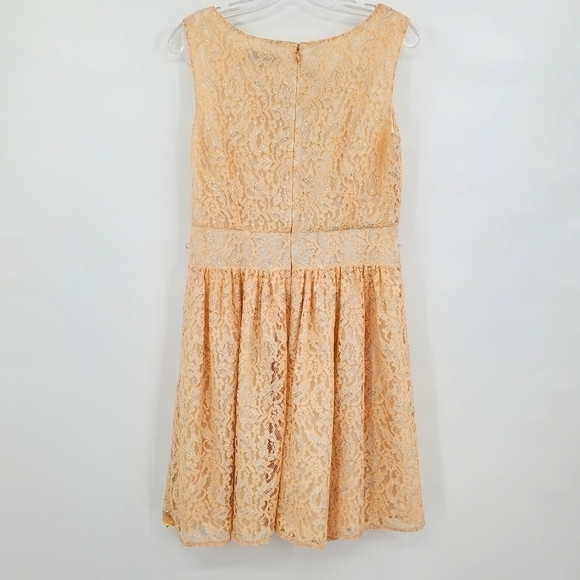 Loft Peach and Silver Metallic Pleated Lace Dress - Picture 3 of 9